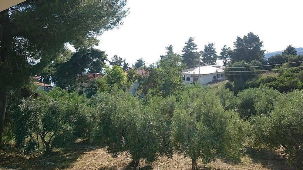 Artemis Plaza Agia Paraskevi (Kassandra) Exterior foto
